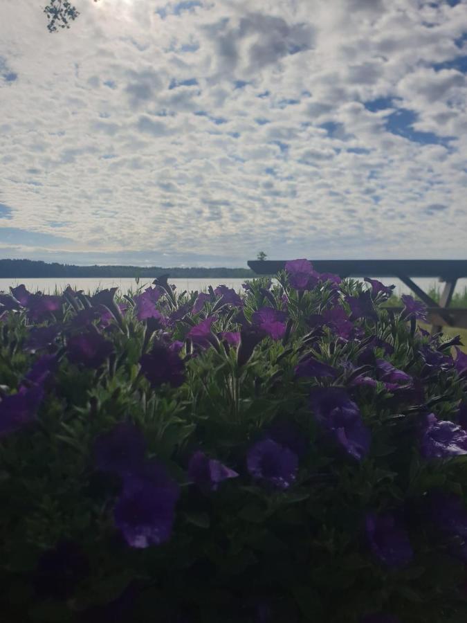 Lilaste.Eu Bagian luar foto